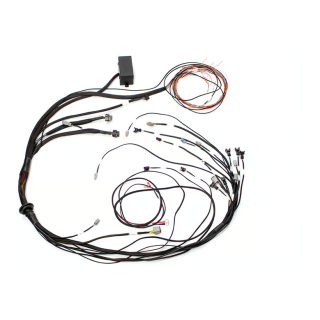 Elite 1500 Mazda 13B S6-8 CAS with Flying Lead Ignition Terminated Harness Injector Connector: Bosch EV1